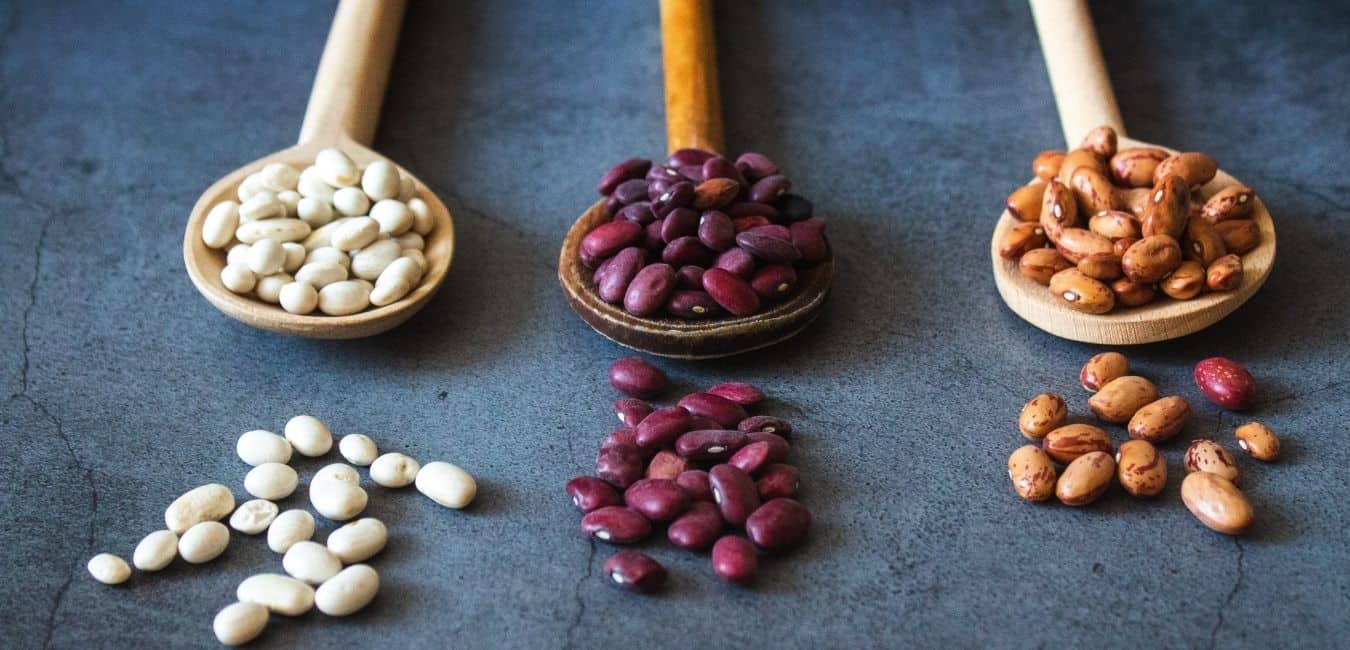Beans Can Help You Lose Weight